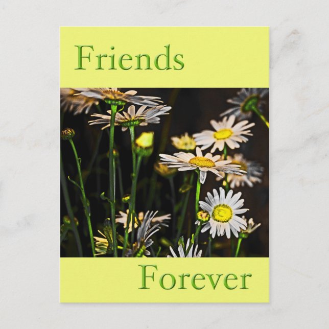 Carte Postale Amis pour toujours (Devant)