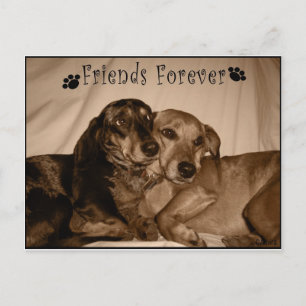 Carte Postale Amis pour toujours