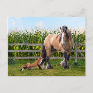 Carte postale "Amis secrets"