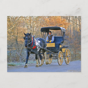 Carte Postale Amish Boy Drives Mariage Carriage