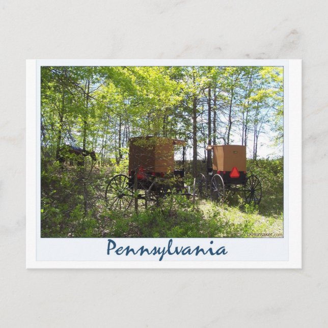 Carte Postale Amish Buggies (Devant)