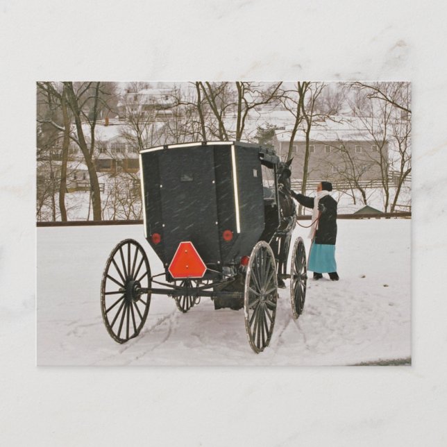 Carte postale Amish Buggy (Devant)