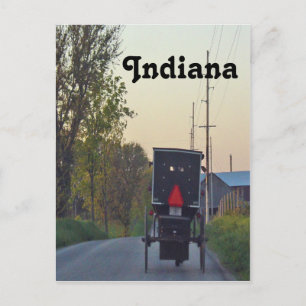Carte Postale Amish Buggy