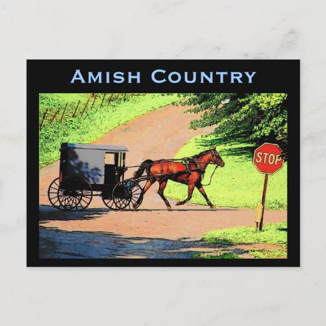 Carte postale Amish Buggy (Devant)