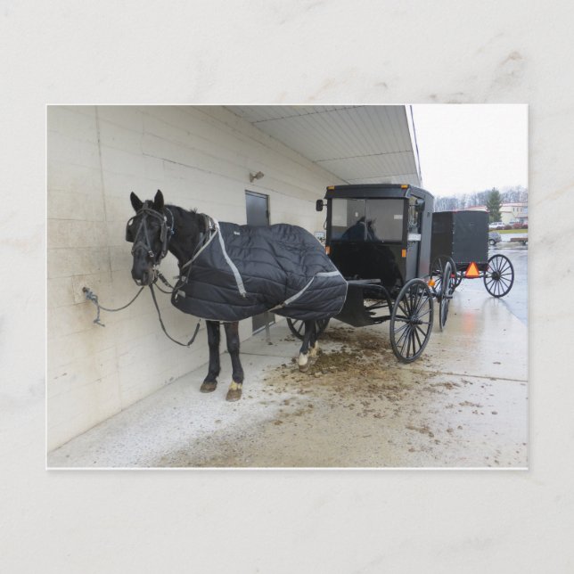 Carte Postale Amish Buggy Au Marché De Pennsylvanie (Devant)
