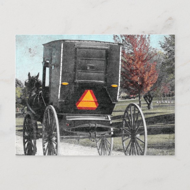 Carte Postale Amish Buggy d'automne (Devant)
