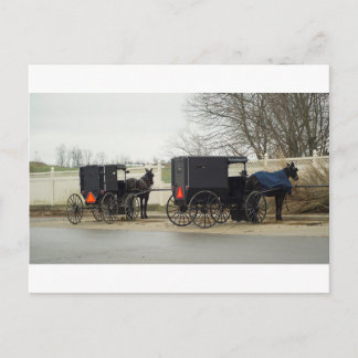 Carte Postale Amish Buggy "Parking Lot"