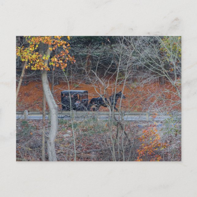 Carte Postale Amish Buggy sur une route rurale en automne, Ohio (Devant)