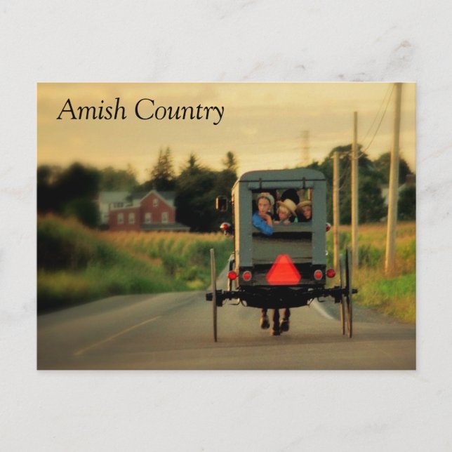 Carte postale Amish Country (Devant)