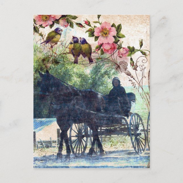 Carte Postale Amish Horse et Buggy Birdie Texture (Devant)