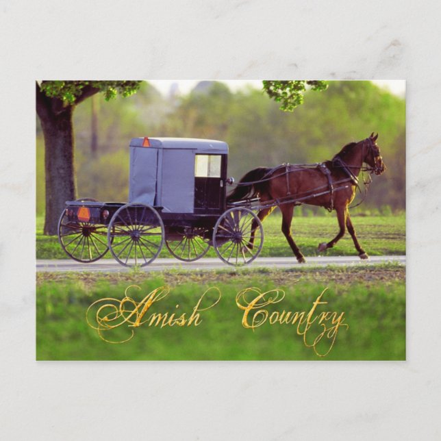 Carte Postale Amish Horse et Buggy, Lancaster, PA (Devant)