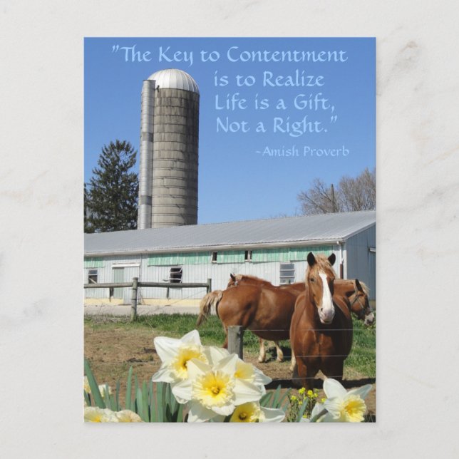 Carte Postale Amish Postcard Life is a Gift. Ajoutez Votre Texte (Devant)