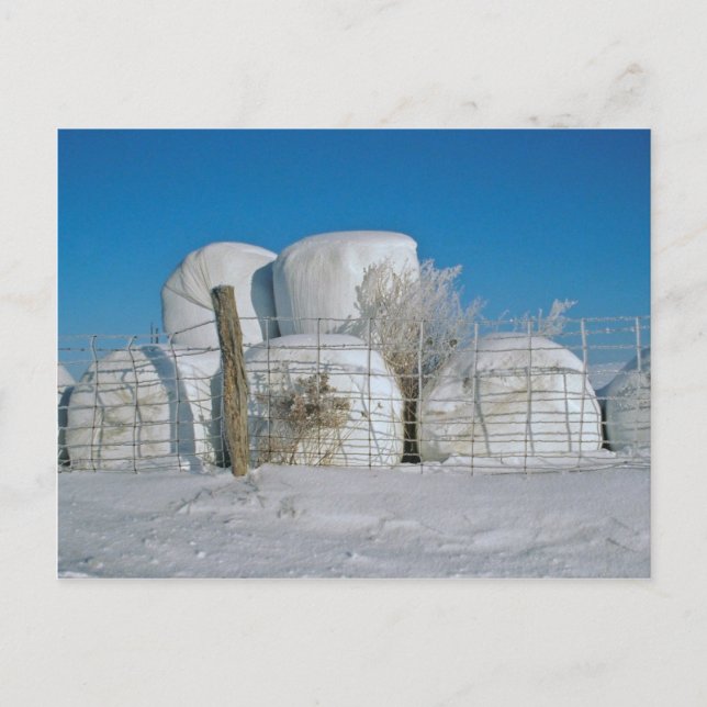 Carte postale Amish Round Hay Bales (Devant)