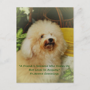 Carte Postale Amitié