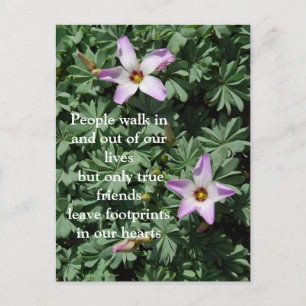 Carte Postale Amitié - Fleurs violettes