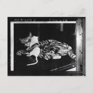 Carte Postale Amitié surprenante - Cat Minnie et Mike Mouse