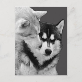 Carte Postale amour