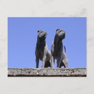 Carte Postale Amour...
