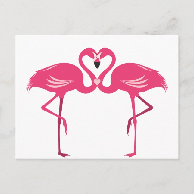 Carte Postale Amour de Flamant rose (Devant)
