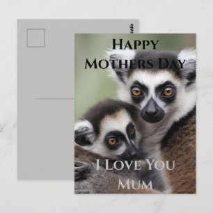 Carte Postale **"Amour de la mère : Mummy and Baby Lemur Cuddlin