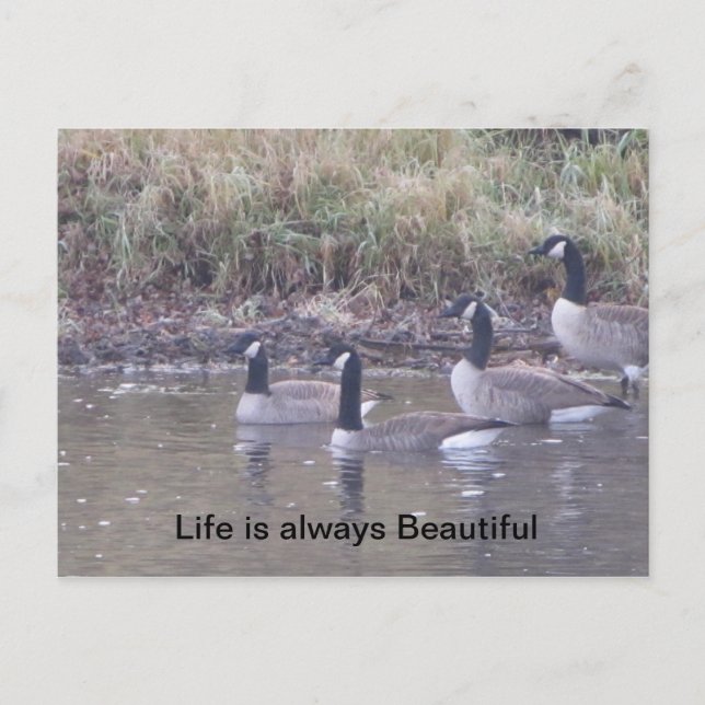 Carte Postale Amour de la nature (Devant)