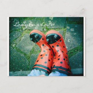 Carte Postale Amour de Ladybug