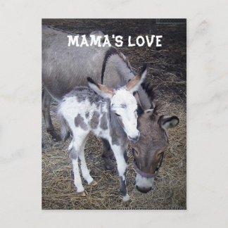 Carte postale Amour de maman