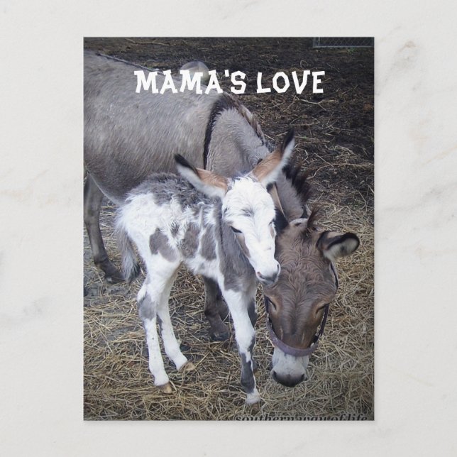 Carte postale Amour de maman (Devant)