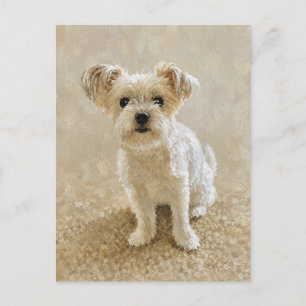 Carte Postale Amour de Morkie