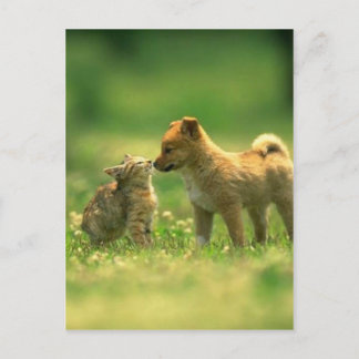 Carte Postale amour du chien