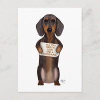 Amour et Dachshund