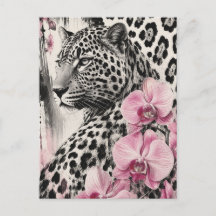 Amour Léo Orchidée