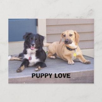 CARTE POSTALE AMOUR POPULAIRE