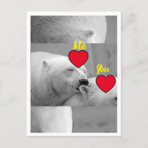 Amour Rouge Ours Polaire