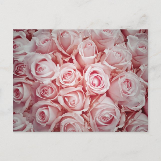 Carte Postale Amour sur roses rose clair arrière - plan par guér (Devant)