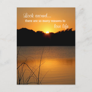 Carte Postale Amour Vie Apprécier Inspiration Motivation Citatio
