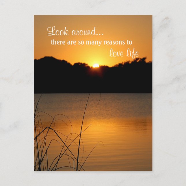 Carte Postale Amour Vie Apprécier Inspiration Motivation Citatio (Devant)