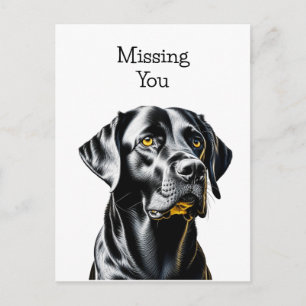 Carte Postale Amoureux de Labradors Noirs   Tu me manques