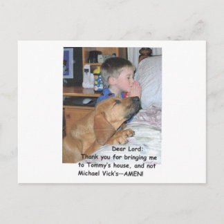Carte postale - Amoureux des animaux