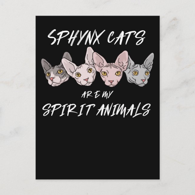 Carte Postale Amoureux des chats Cadeau Esprit animal Sphynx Cha (Devant)