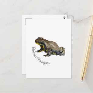 Carte Postale Amphibiens, Reptiles & Insectes Aquarelle