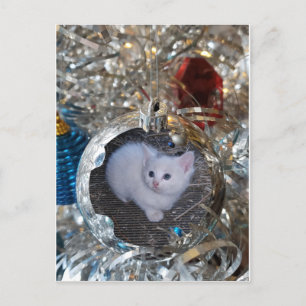 Carte Postale Ampoule en argent Cadre complet