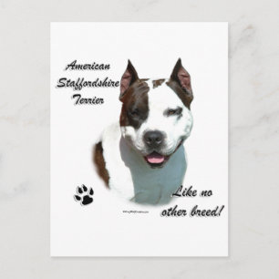 Carte Postale AmStaff Comme Aucune Autre race