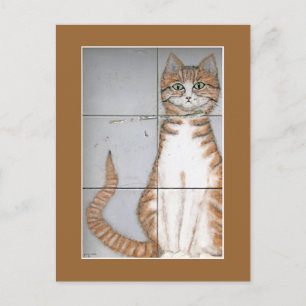 Carte postale Amsterdam Cat