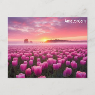 Carte Postale Amsterdam Pays-Bas Dutch Tulips Voyage Photo
