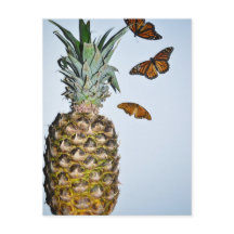 Amusant ananas