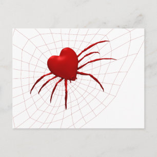 Carte Postale Amusant Araignée Orb-Weaver