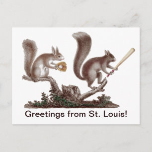 Carte Postale Amusant Rally Squirrel Salutations de St Louis!