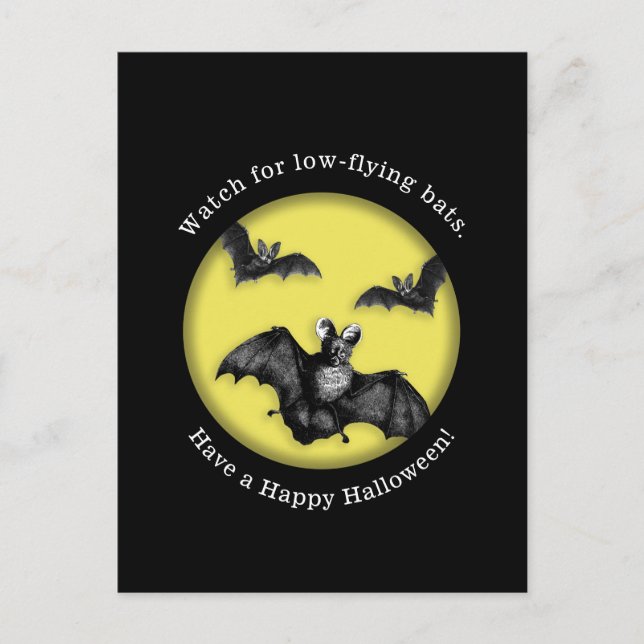 Carte Postale Amusante Bats Volants Basses Joyeux Halloween (Devant)