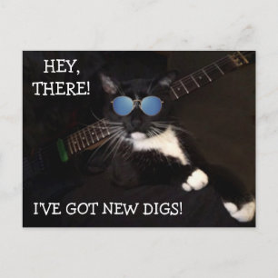 Carte postale Amusante Hip Et Chat Cool Moving
